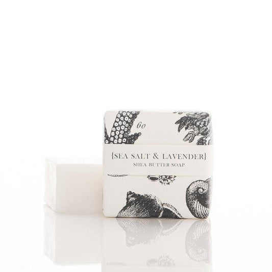 Petite Shea Butter Soap: Sea Salt & Lavender